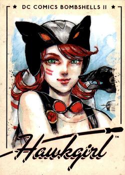 Hawkgirl front artwork