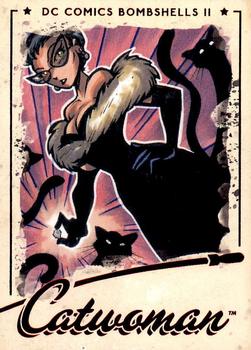 Catwoman front artwork