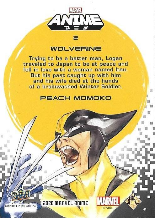 Wolverine back artwork