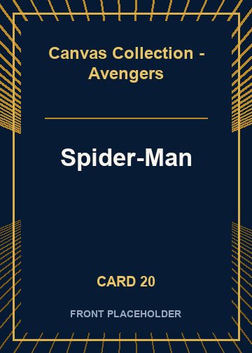 Spider-Man front artwork