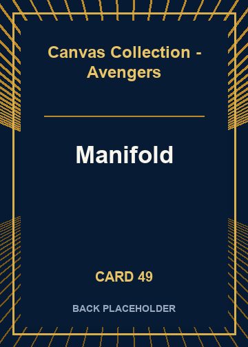 Manifold back card image