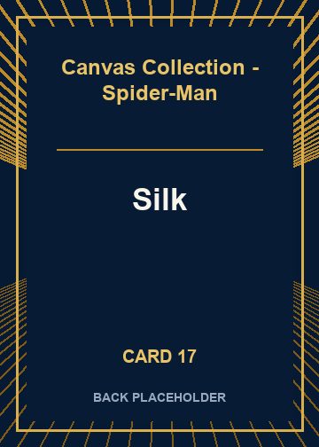 Silk back artwork