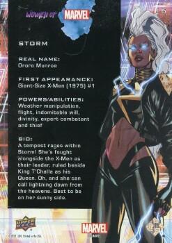 Storm back artwork