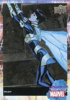 Wasp front artwork