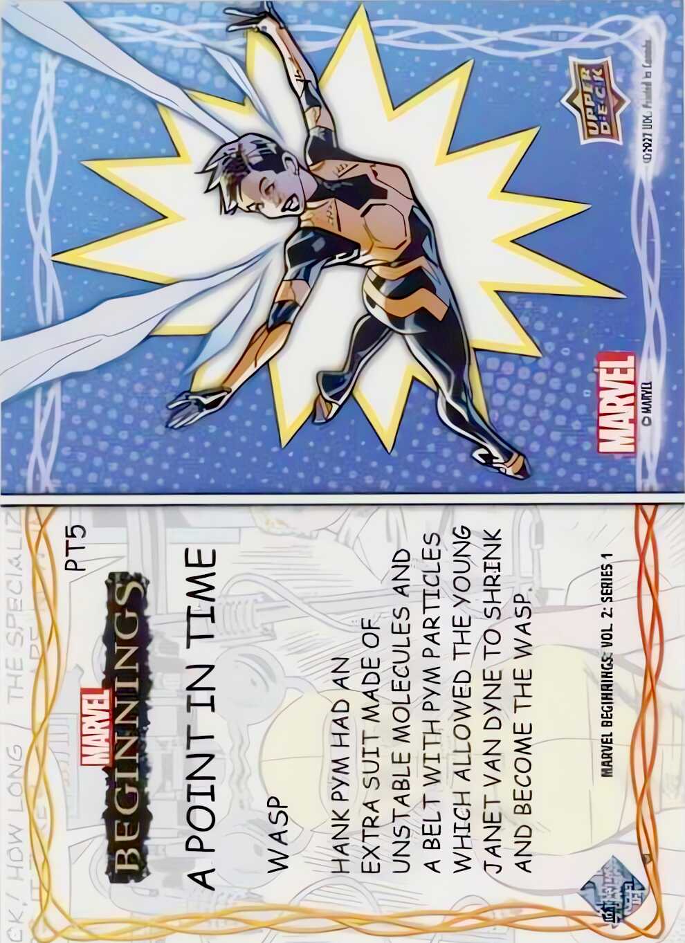 Wasp back card image
