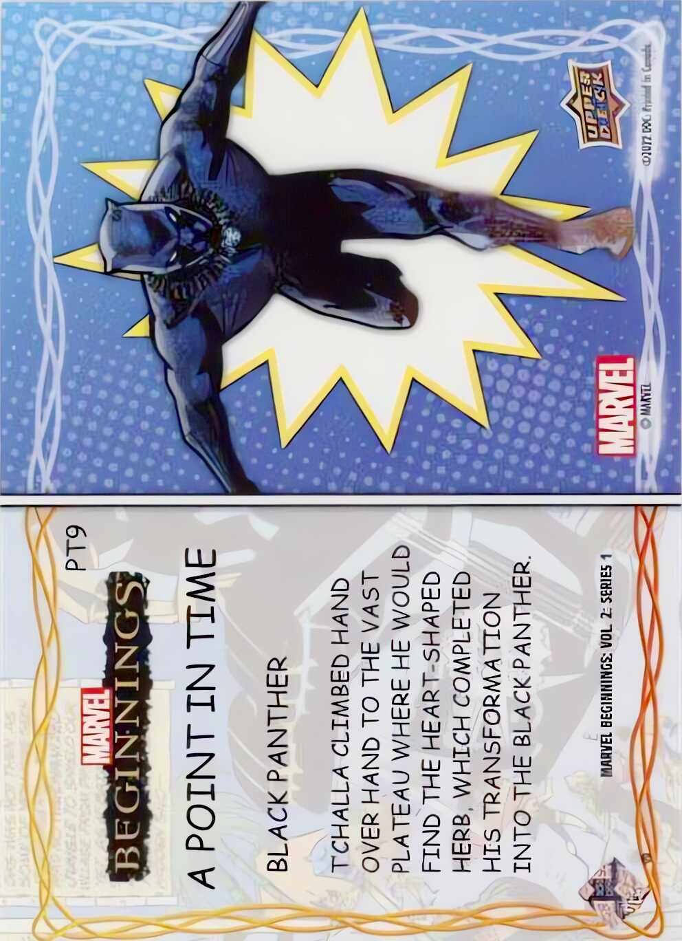 Black Panther back card image