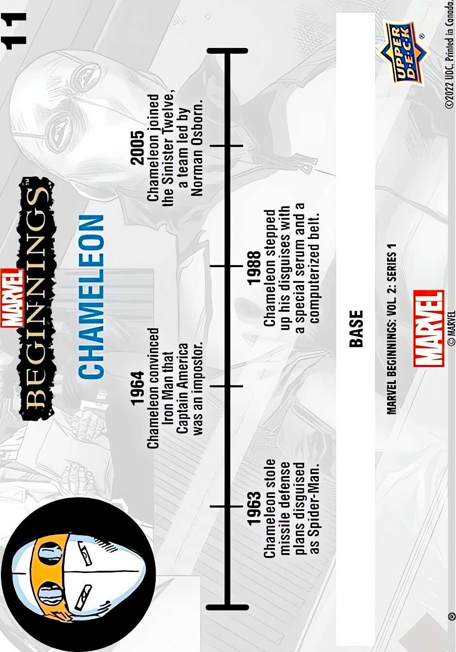 Chameleon back artwork