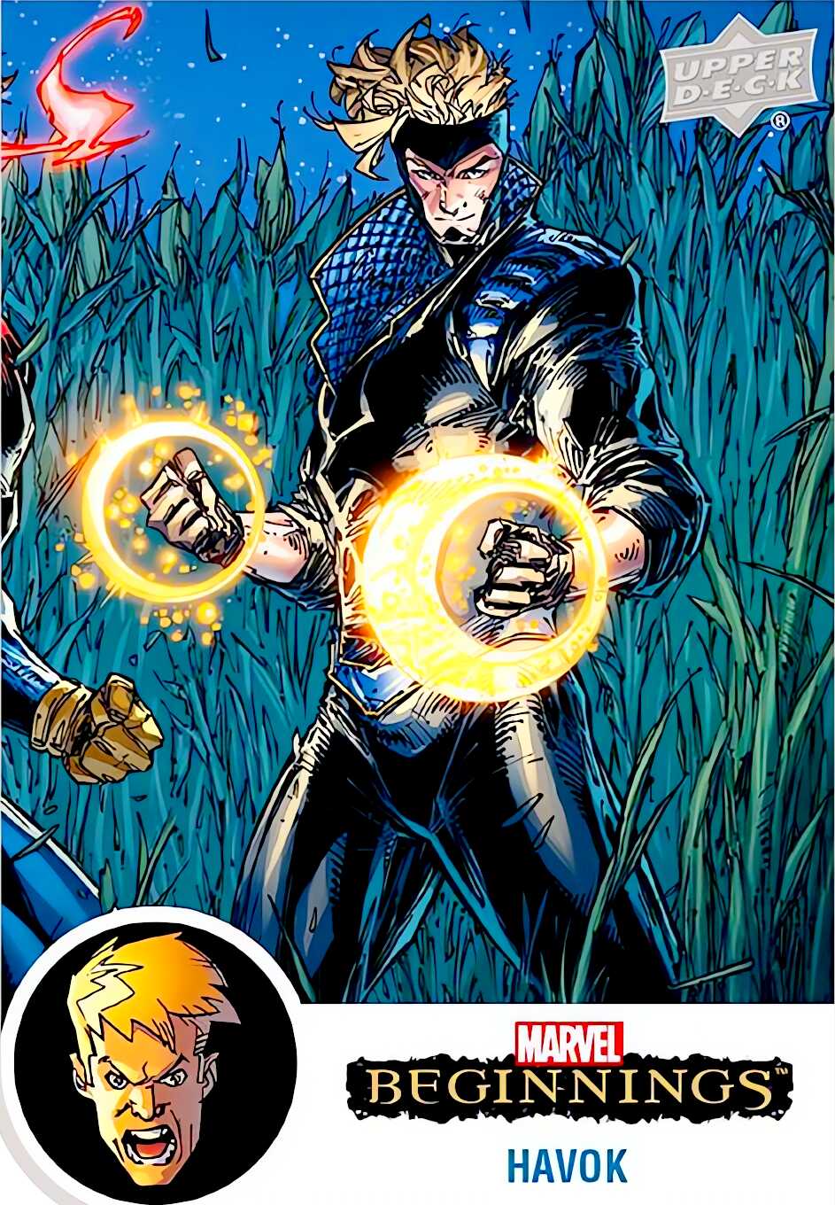 Havok card thumbnail