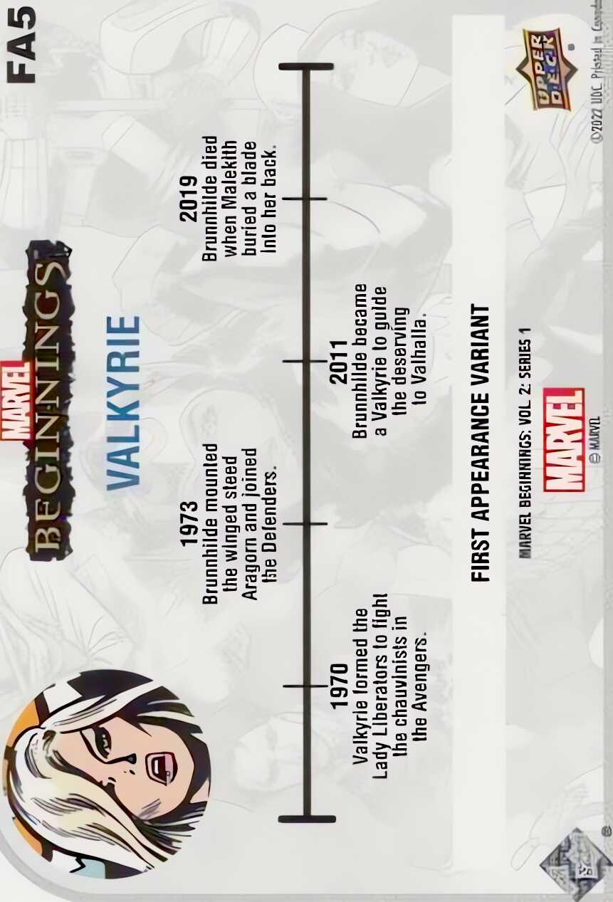 Valkyrie back card image