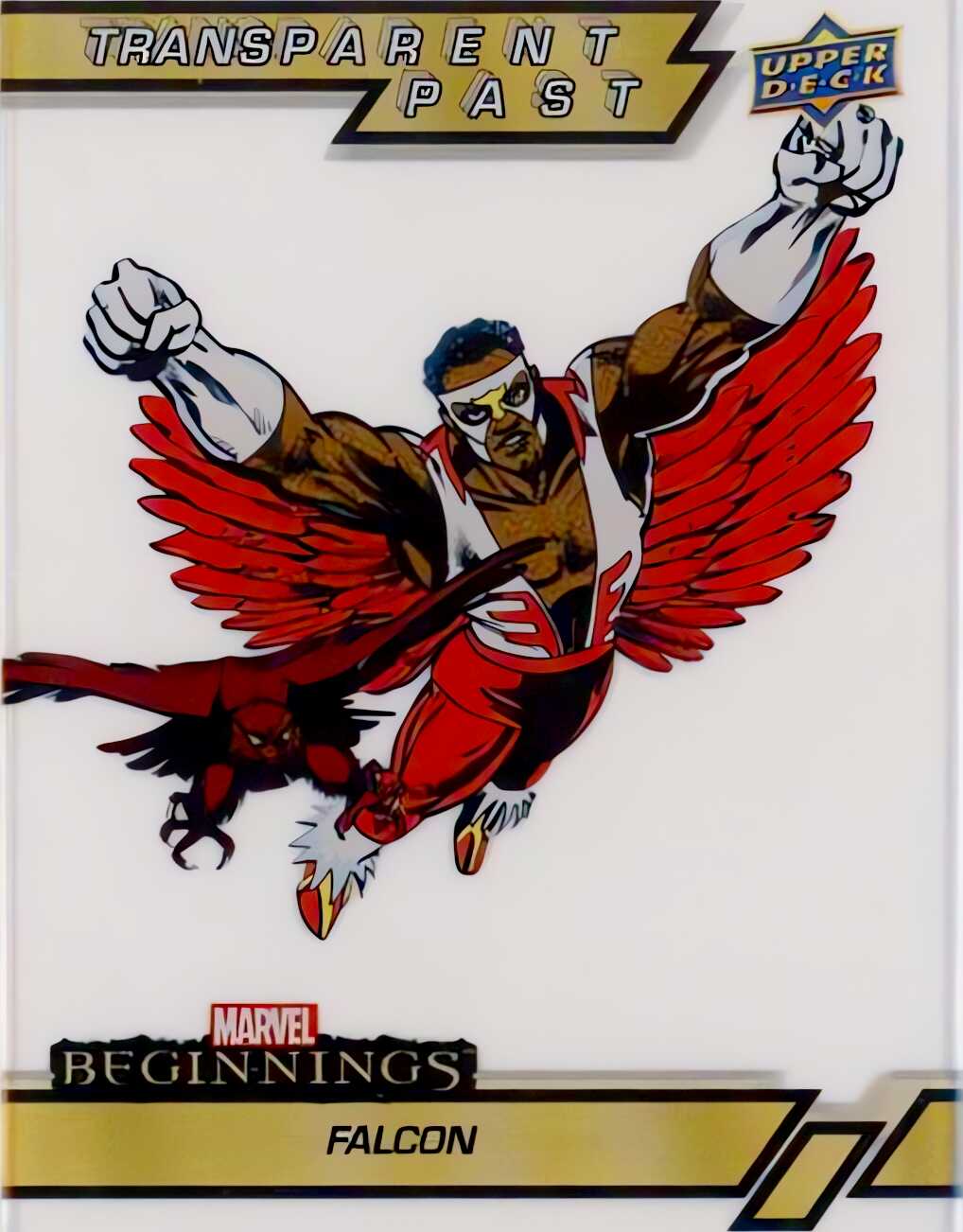 Falcon card thumbnail