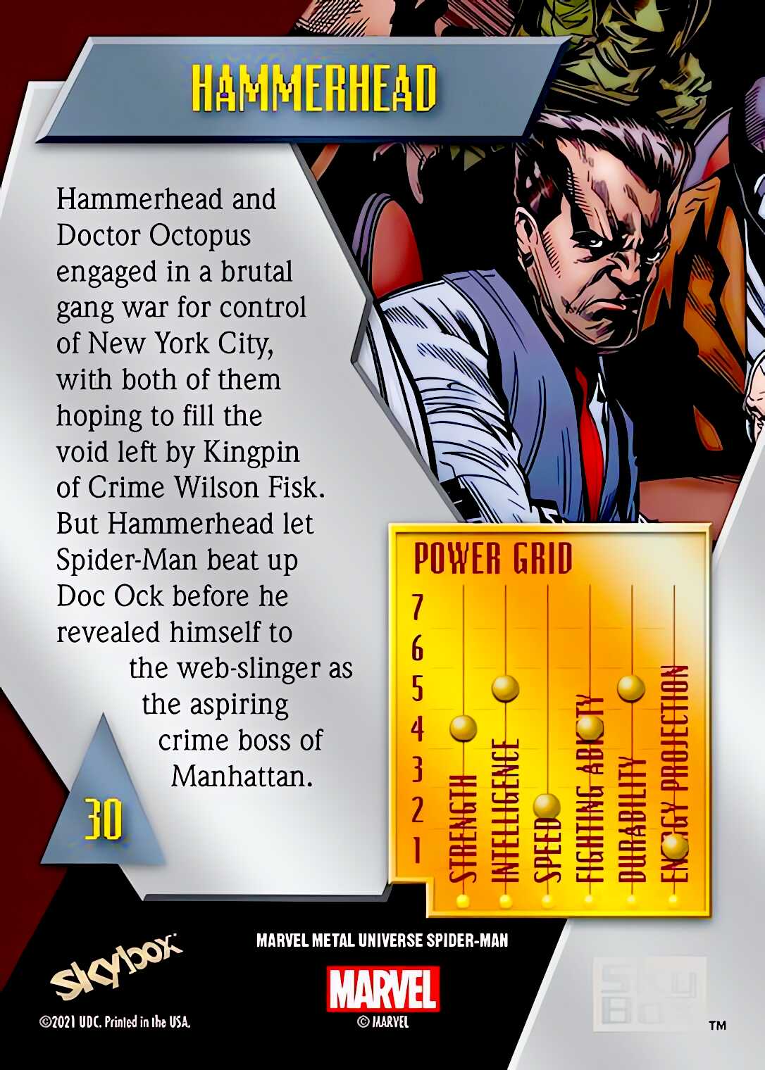 Hammerhead back artwork