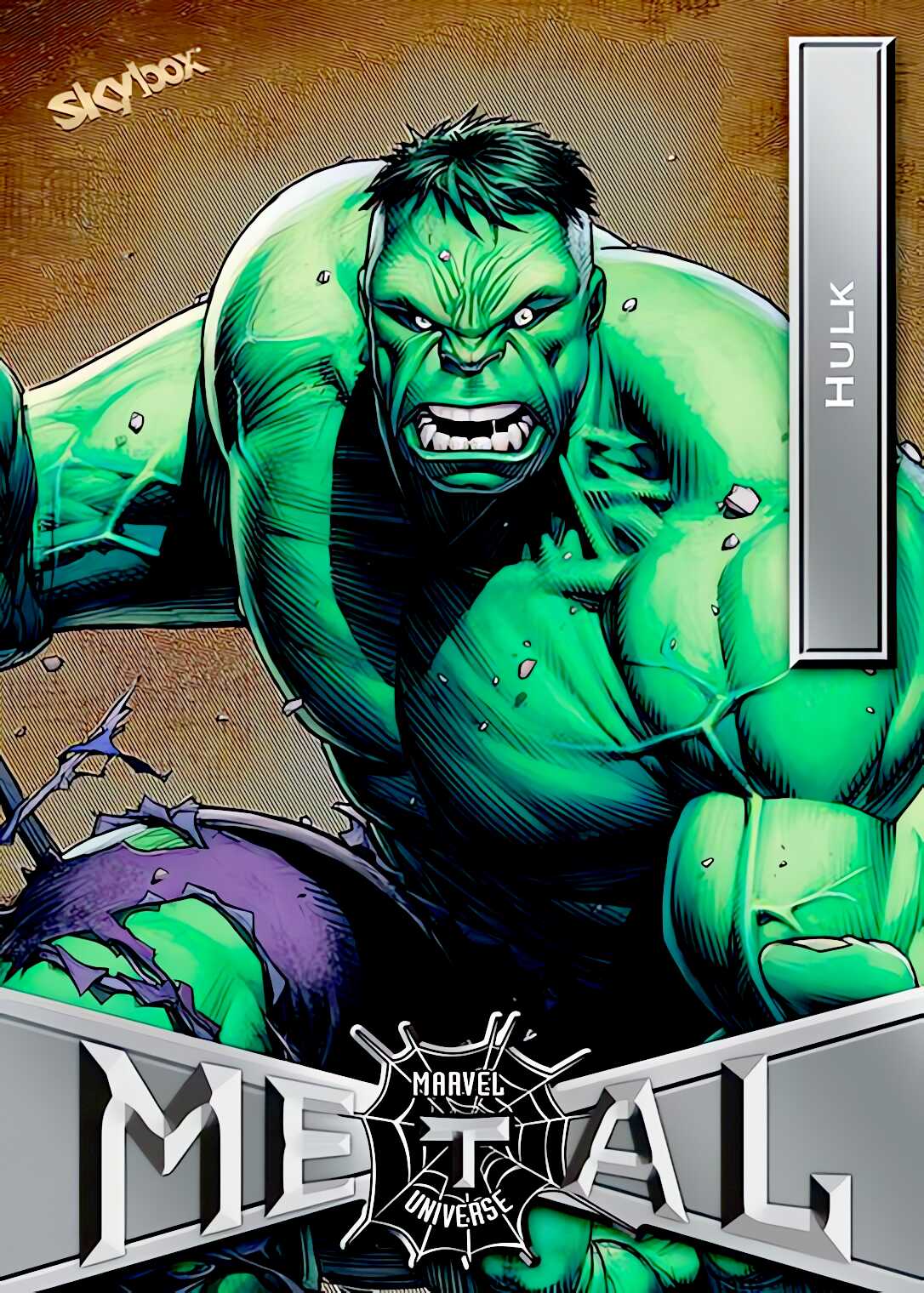 Hulk front artwork