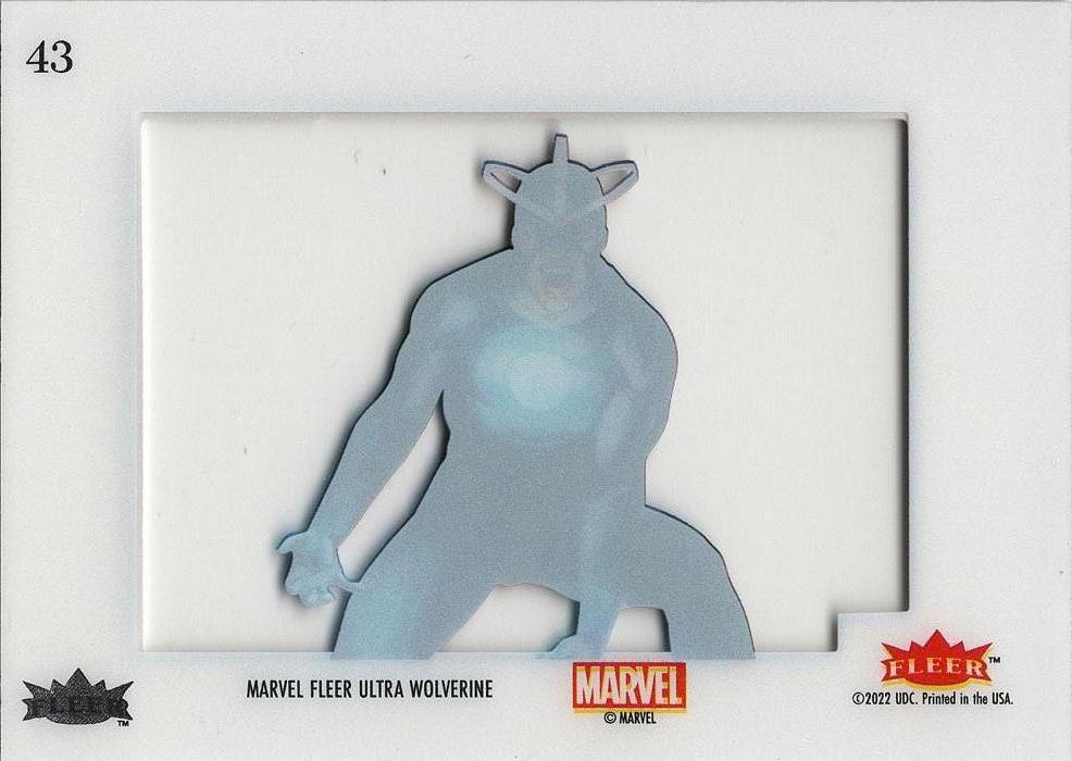 Havok back card image