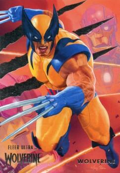 Wolverine front artwork