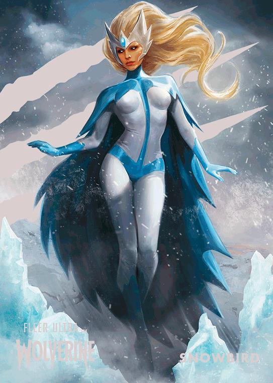 Snowbird front artwork