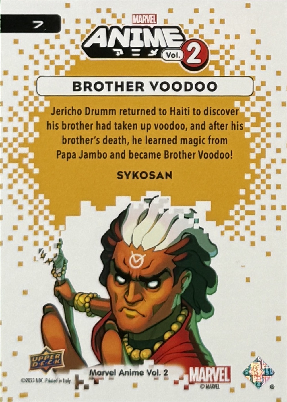 Brother Voodoo back artwork