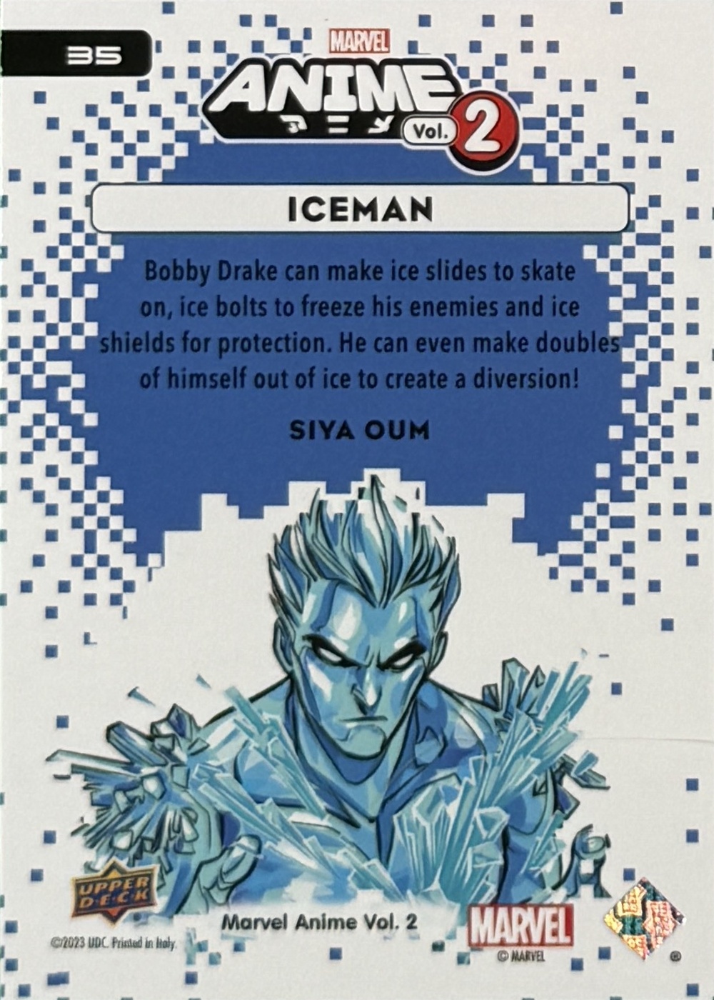 Iceman back artwork