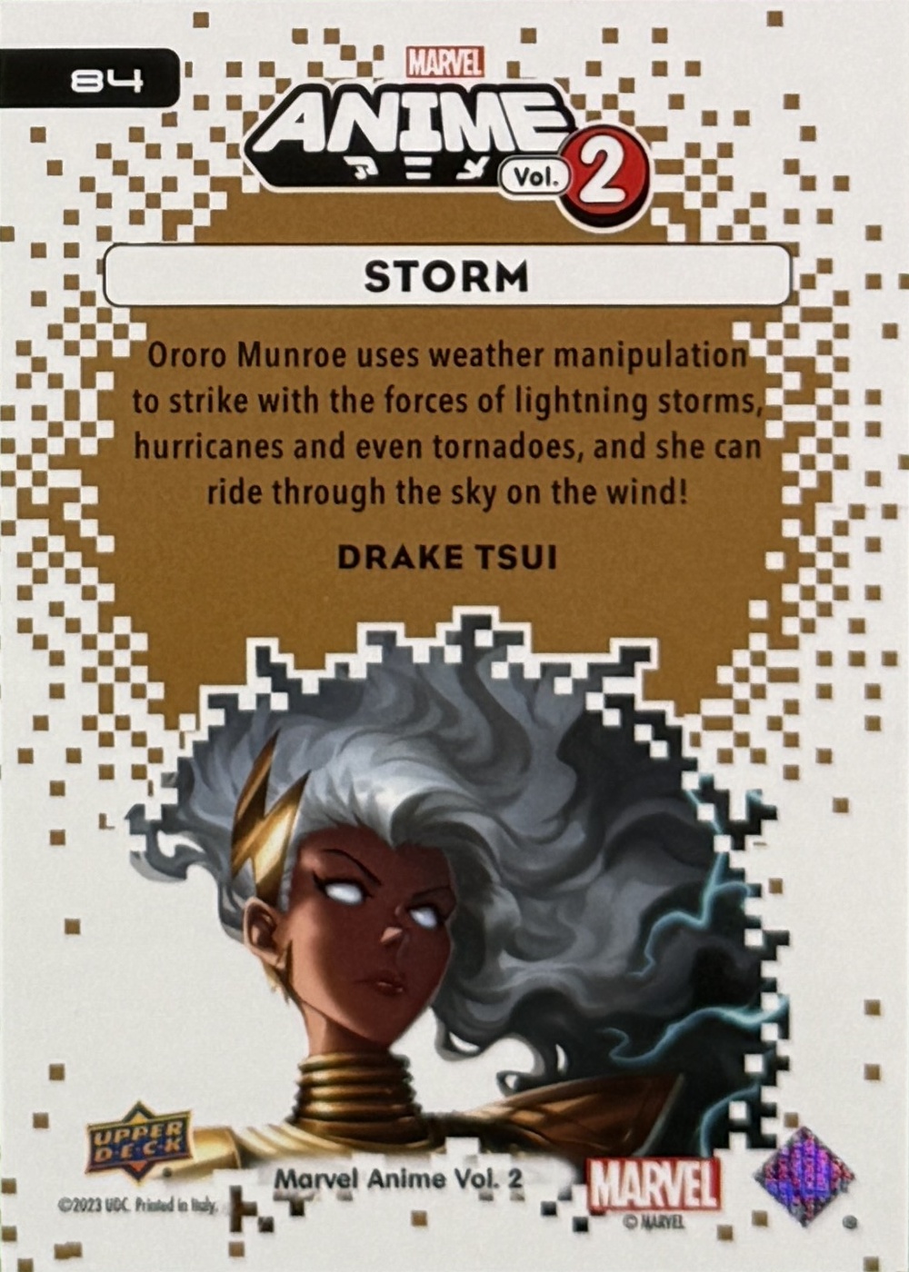 Storm back card image