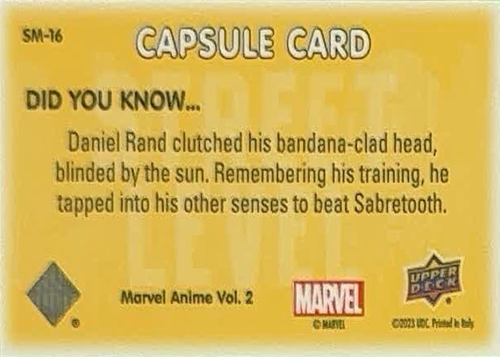 Iron Fist's Bandana back card image