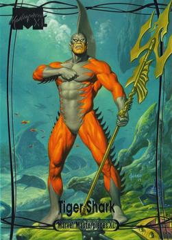Tiger Shark front artwork