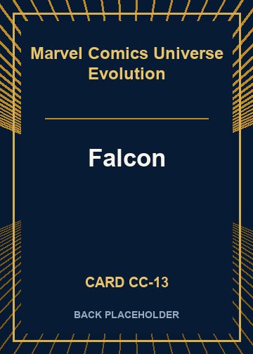 Falcon back artwork