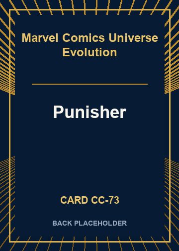 Punisher back card image