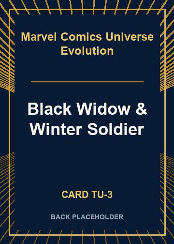 Black Widow & Winter Soldier back card image