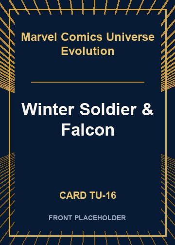 Winter Soldier & Falcon front card image