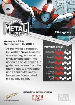 Stingray back artwork