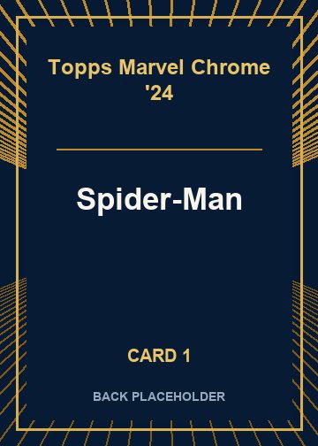 Spider-Man back artwork