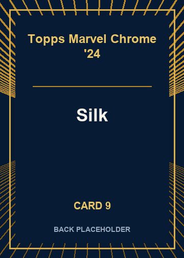 Silk back artwork