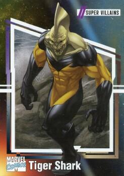 Peter Parker front card image