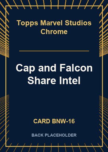 Cap and Falcon Share Intel back card image