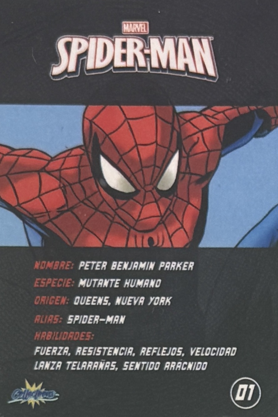 Peter Benjamin Parker / Spider-Man back artwork