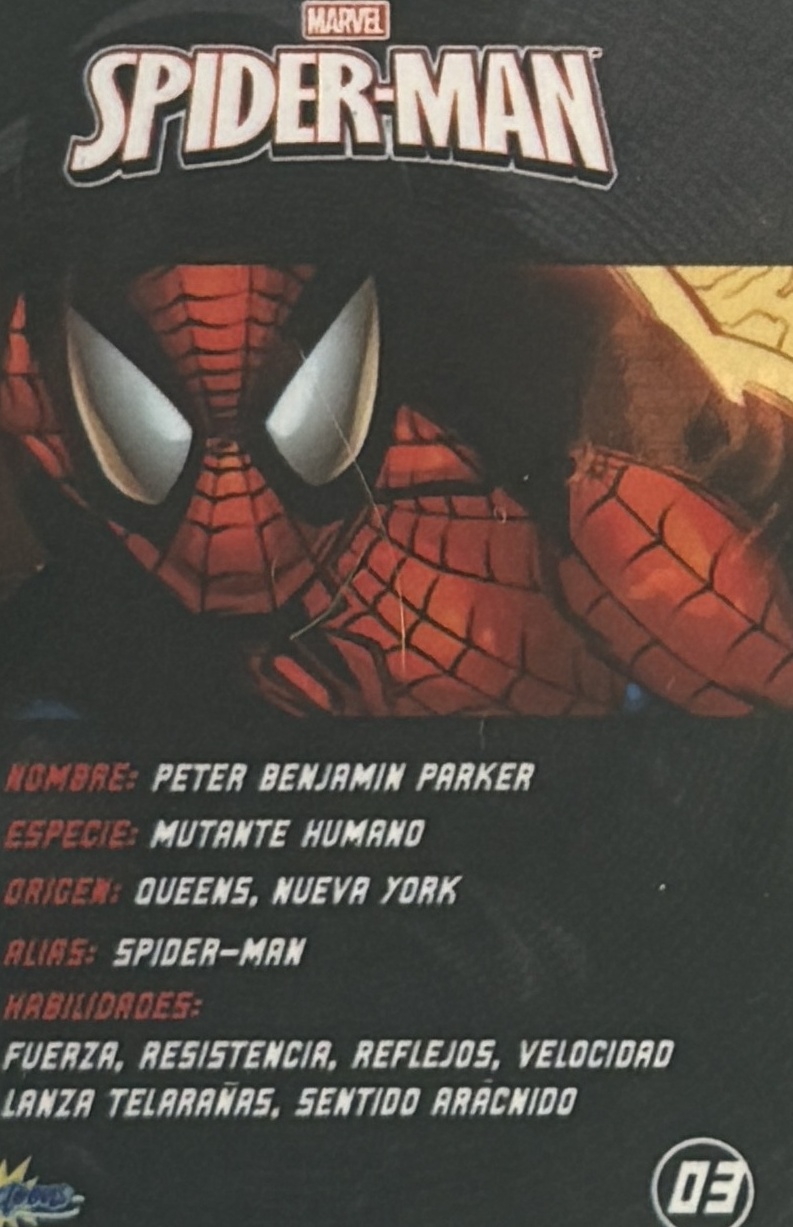 Peter Benjamin Parker / Spider-Man back artwork