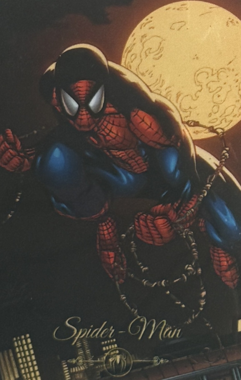 Peter Benjamin Parker / Spider-Man front artwork