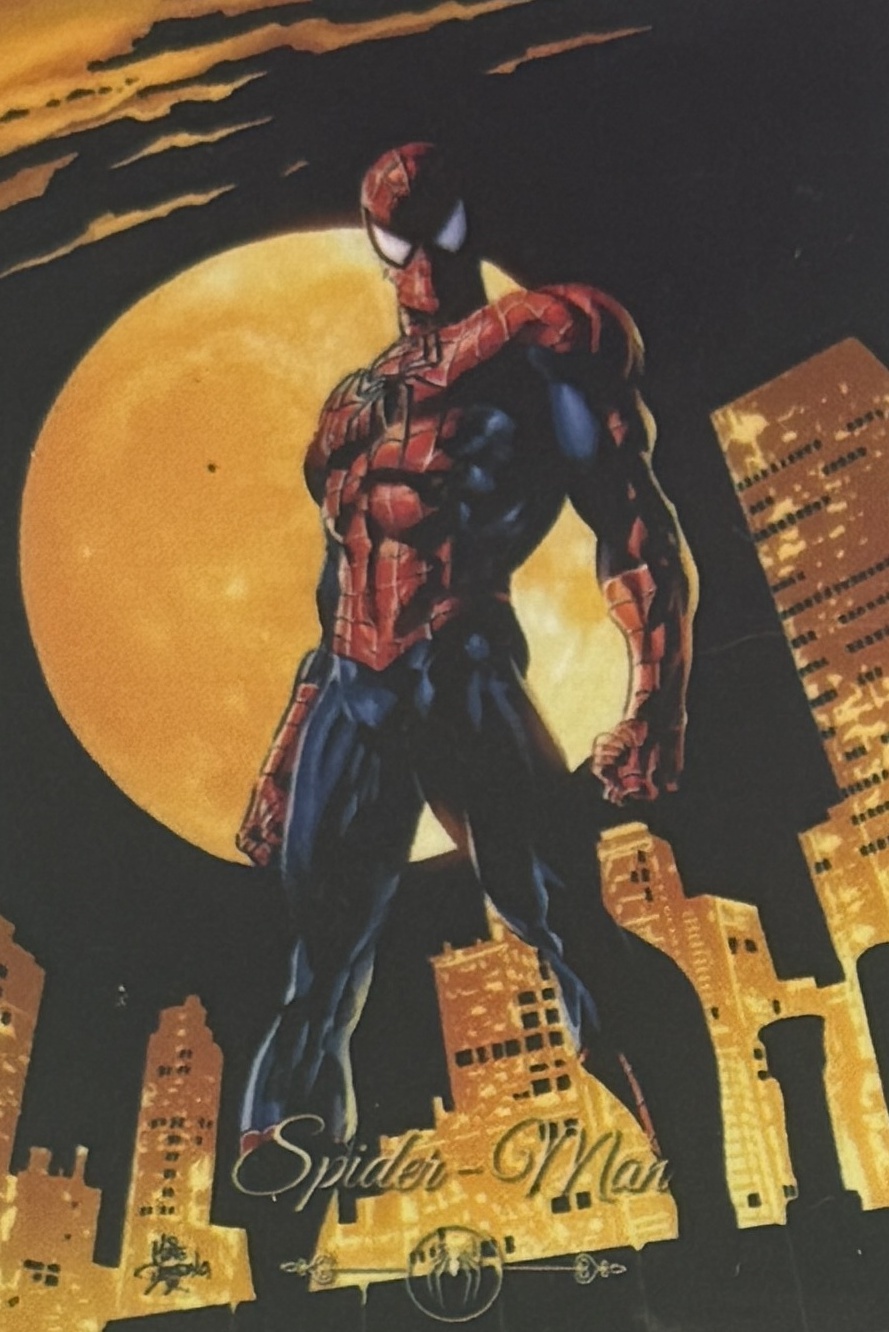 Peter Benjamin Parker / Spider-Man front artwork