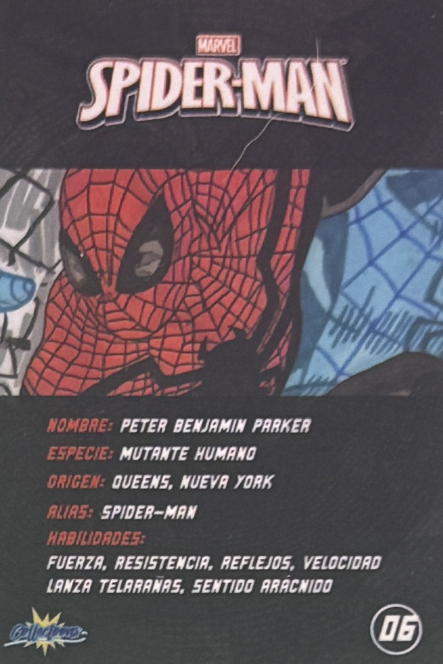 Peter Benjamin Parker / Spider-Man back artwork