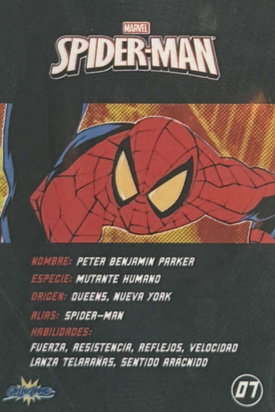 Peter Benjamin Parker / Spider-Man back artwork