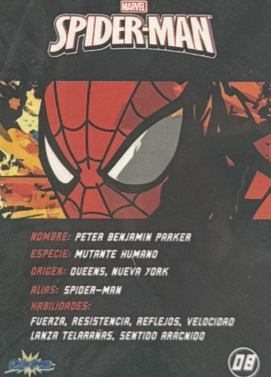 Peter Benjamin Parker / Spider-Man back artwork