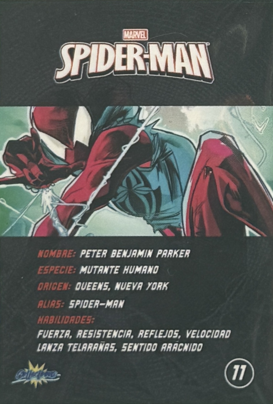 Peter Benjamin Parker / Spider-Man back artwork