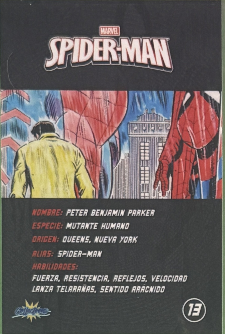 Peter Benjamin Parker / Spider-Man back artwork