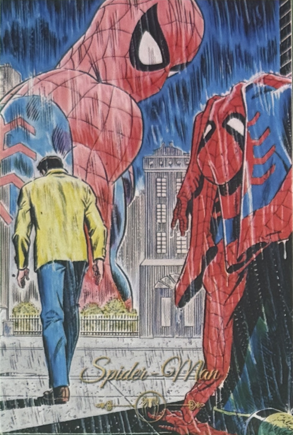 Peter Benjamin Parker / Spider-Man front artwork