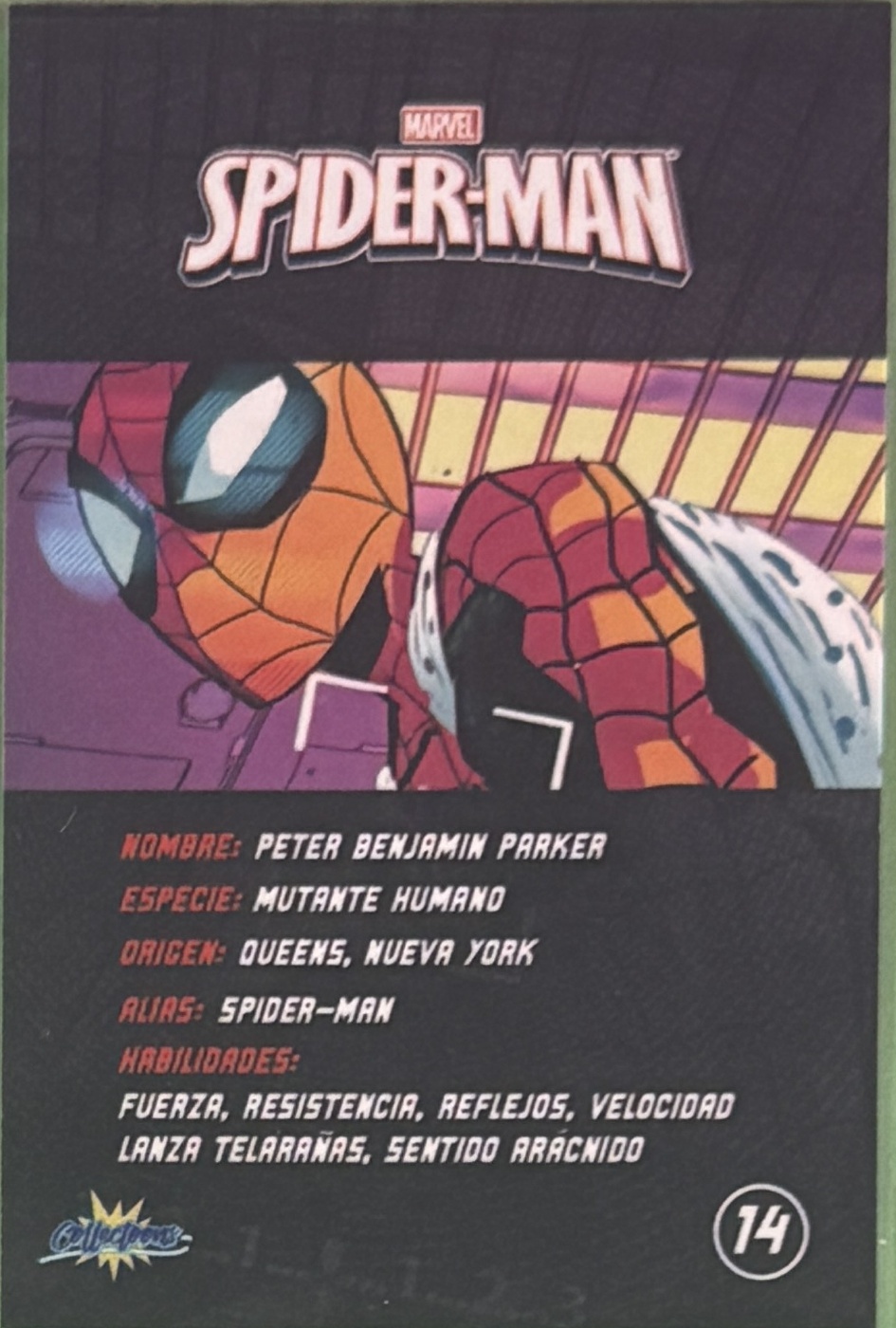 Peter Benjamin Parker / Spider-Man back artwork