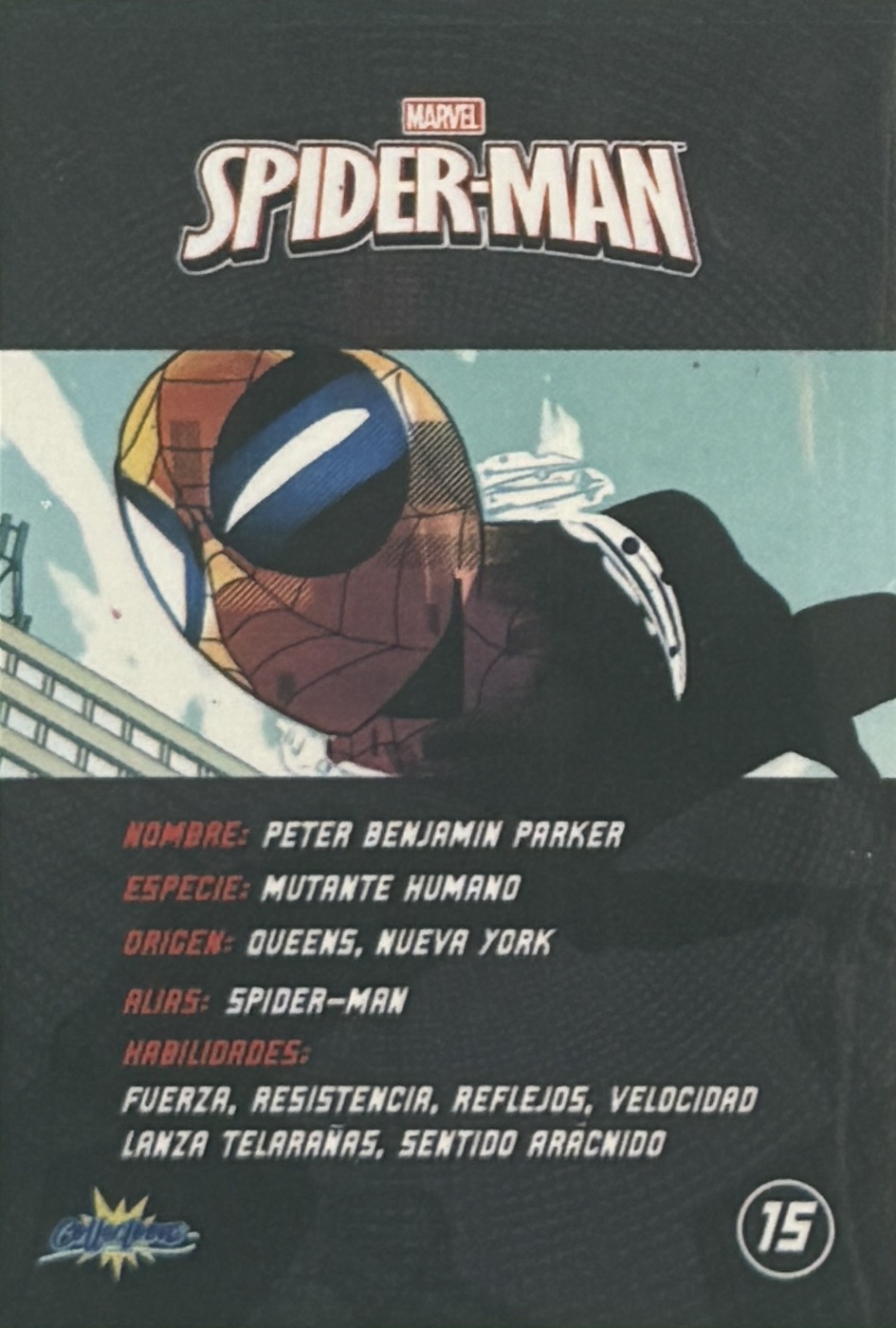 Peter Benjamin Parker / Spider-Man back artwork