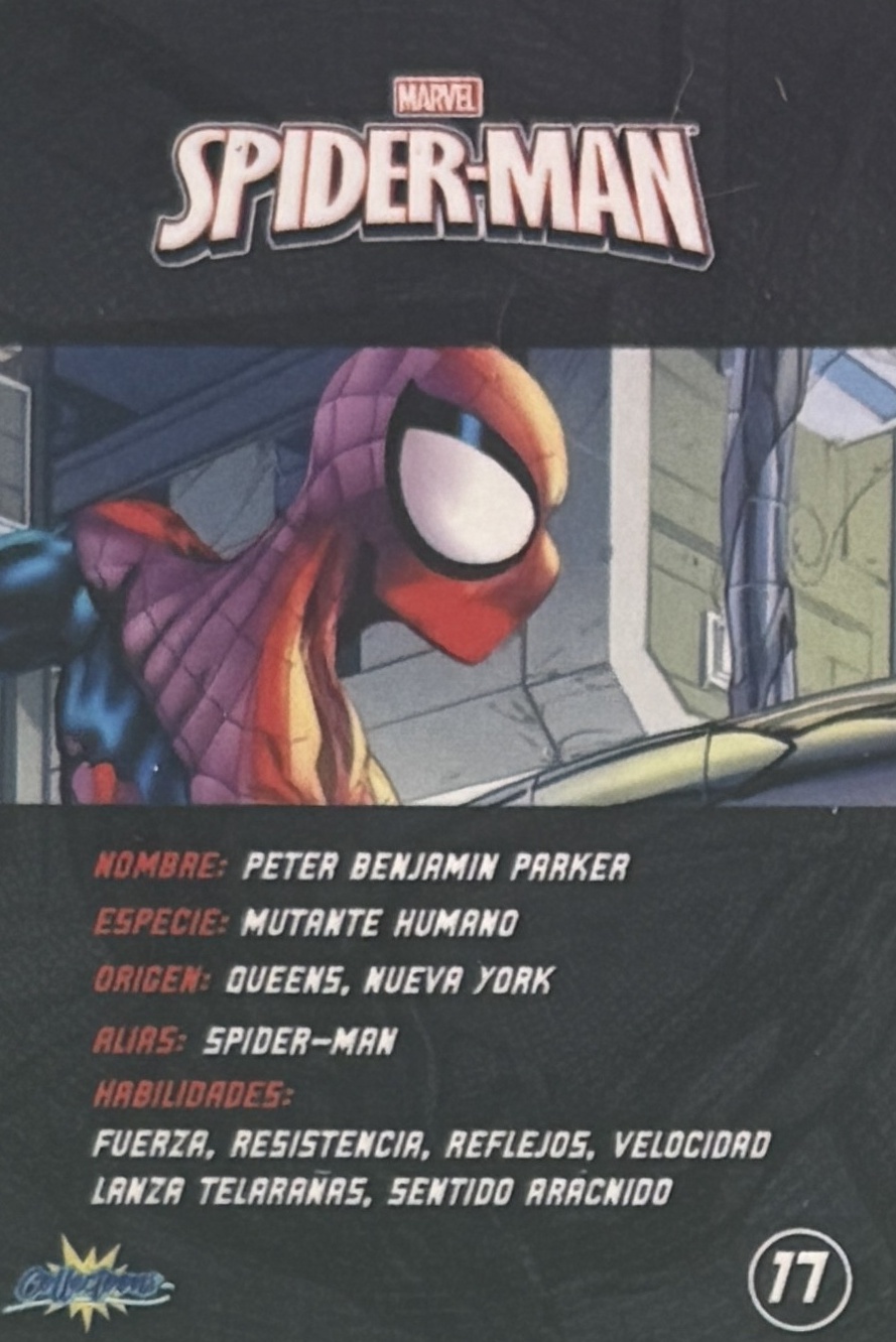 Peter Benjamin Parker / Spider-Man back artwork