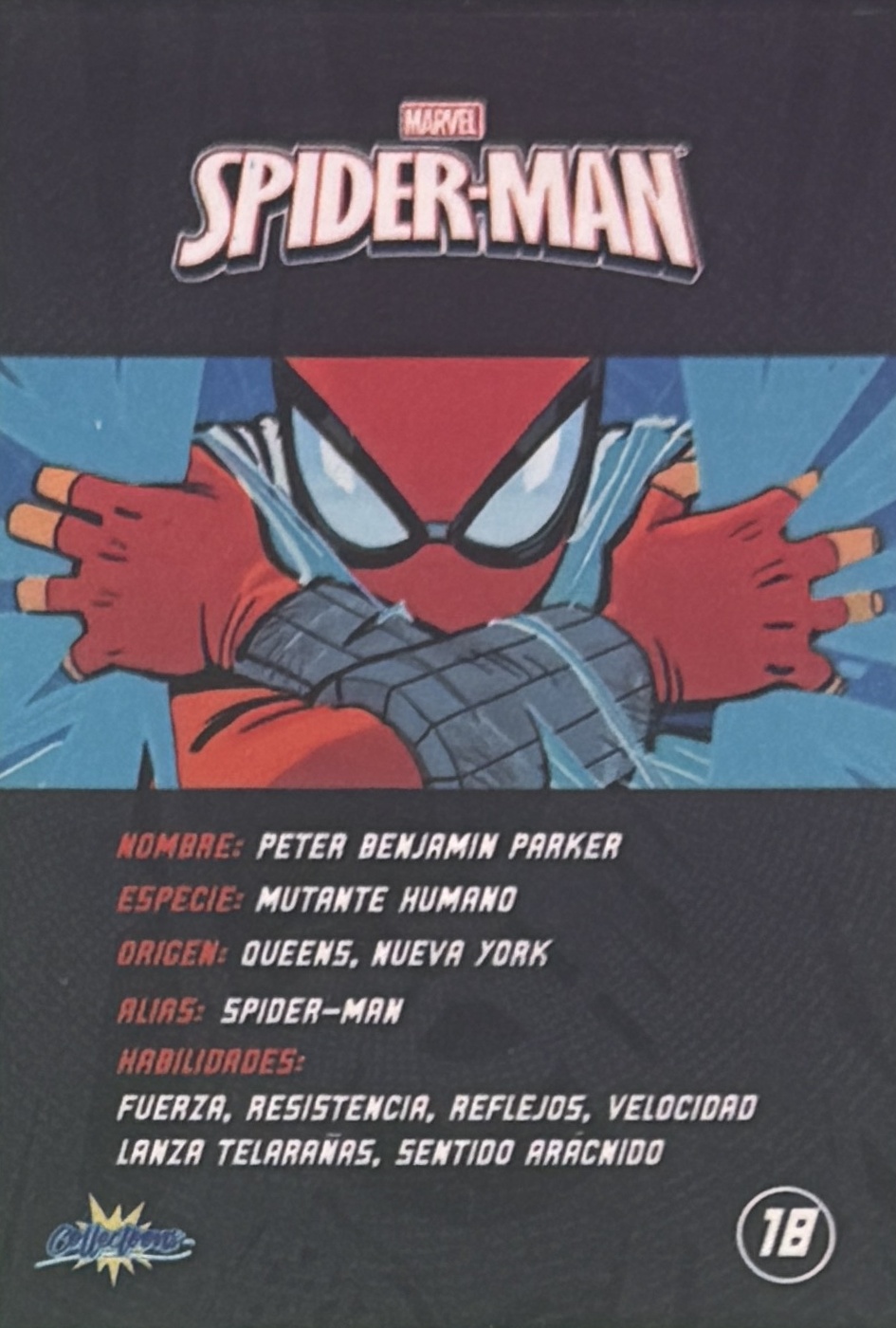 Peter Benjamin Parker / Spider-Man back artwork