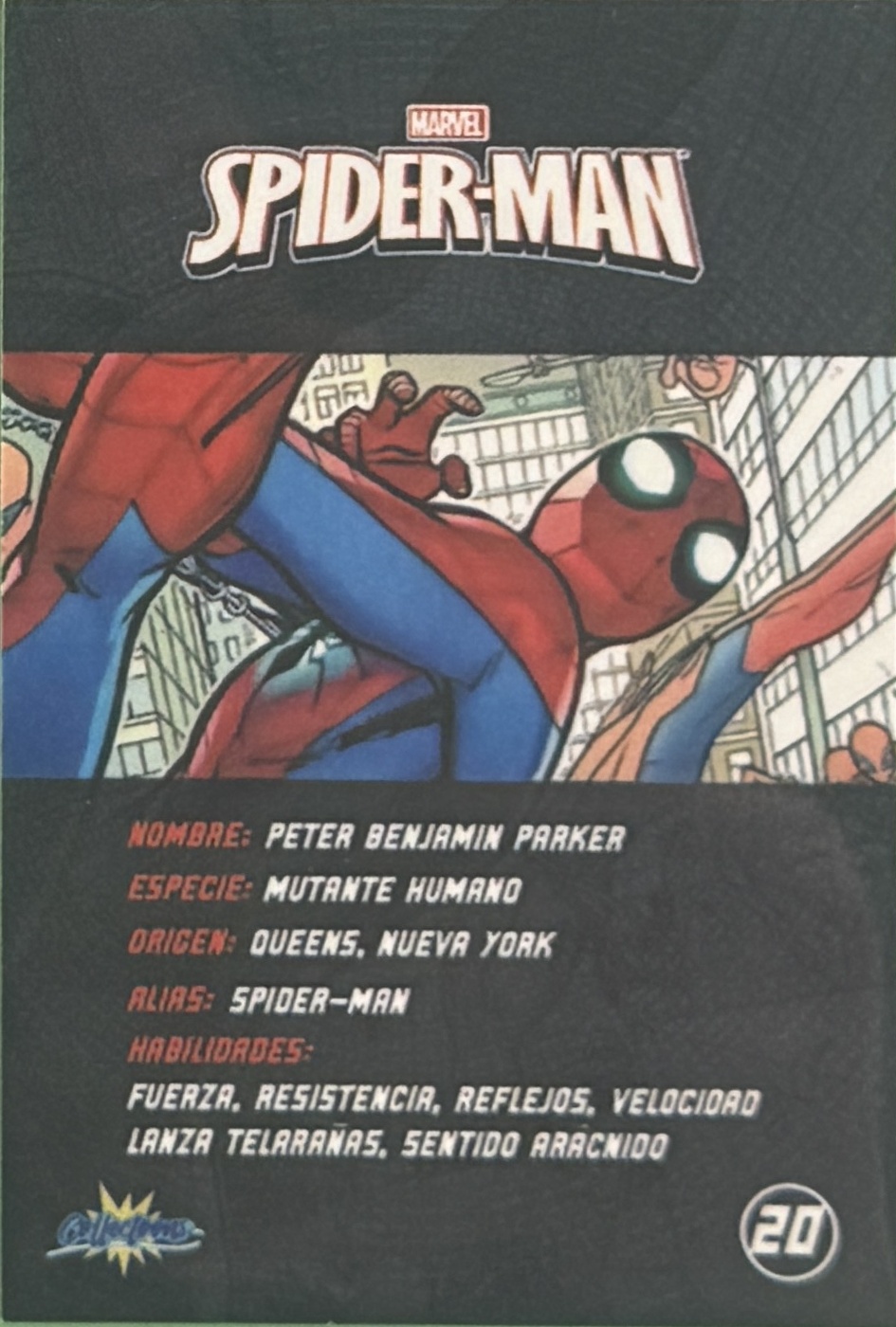 Peter Benjamin Parker / Spider-Man back artwork