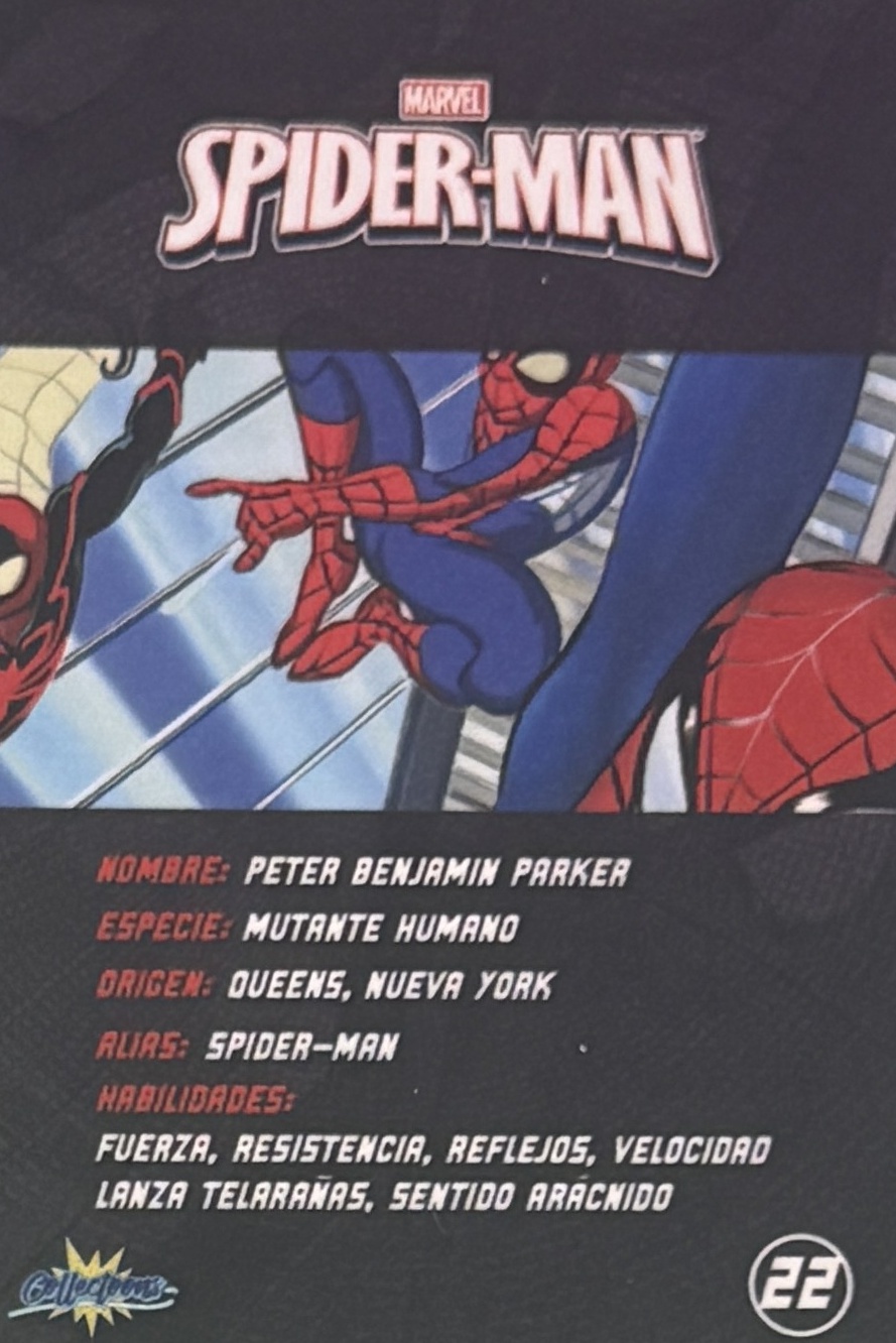 Peter Benjamin Parker / Spider-Man back artwork