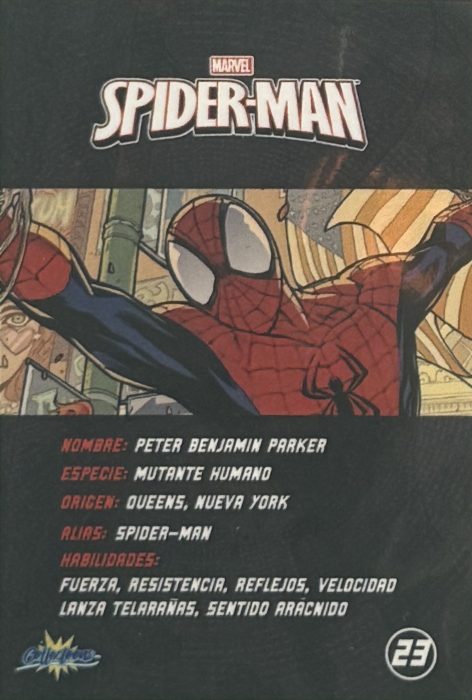 Peter Benjamin Parker / Spider-Man back artwork